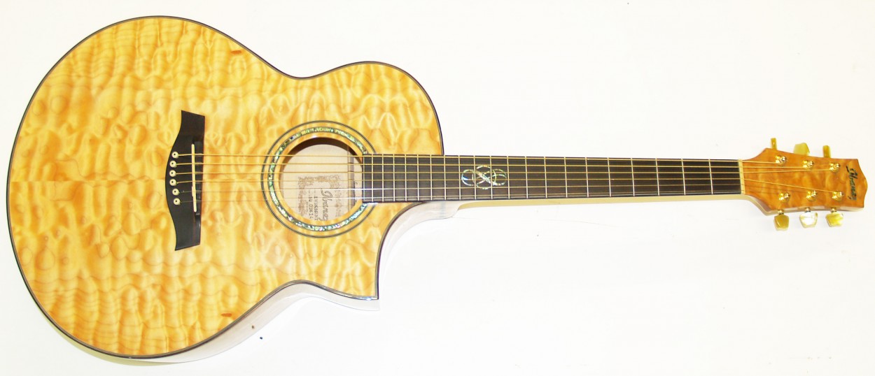 Class Axe Guitars EW50QME