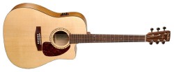 Simon and Patrick Woodland CW Spruce 
